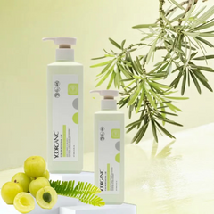 Natural Organic Argan Oil Anti-Dandruff Sulfate-Free Shampoo