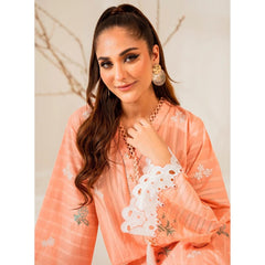 Alessa 2 Pcs Embroidered Stitched Suit Peach