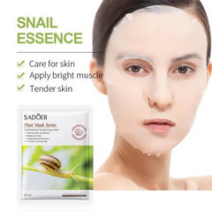 Snail Essence Moisturising Face Mask
