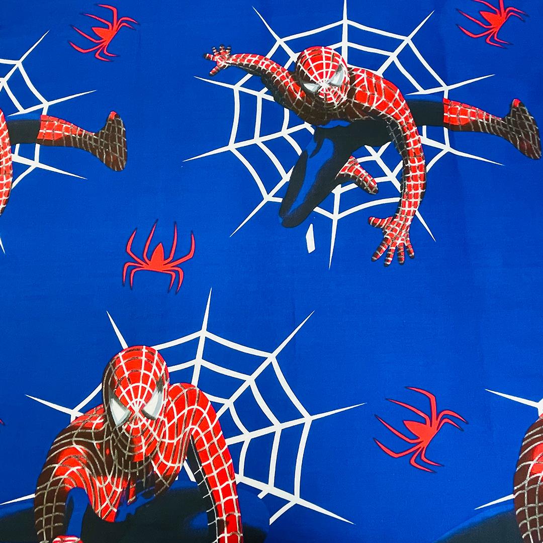 Spider Man 2 Pcs Kids Bedding Set